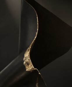 S05126645_9